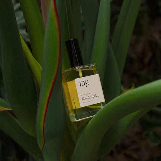 A natural hydrating body and face oil sitting amongst organic plant
